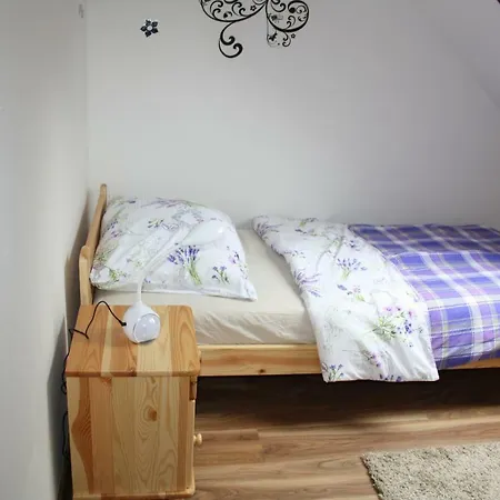Apartmany City *