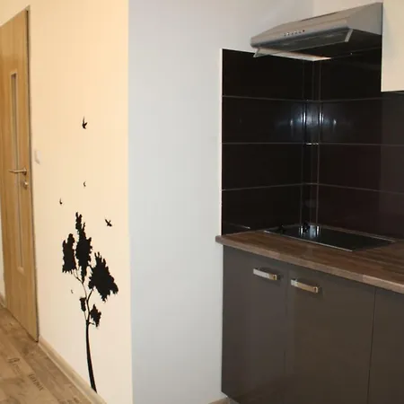 公寓 Apartmany City *