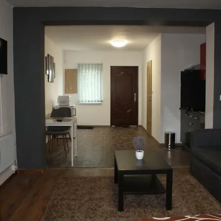 Apartmany City شقة