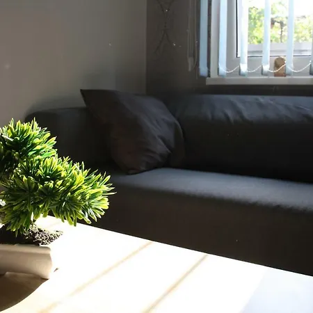 Apartmany City *